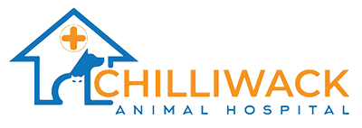 Chilliwack Animal Hospital
