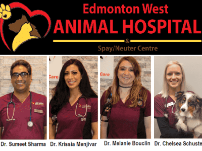 Edmonton West Animal Hospital