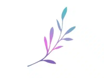 Holly Joy LLC