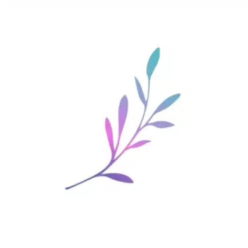 Holly Joy LLC